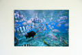 Cabbage Beach #001