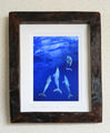Dolphin Dreaming #001