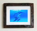 Heavenly Dolphins #001