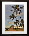 Ali'i Beach Hale'iwa #001