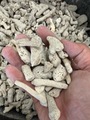 サンゴ　大　1キロ