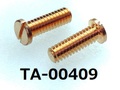 (TA-00409) リン青銅 (C5441) 特ヒラ [3006] - M2x6 脱脂