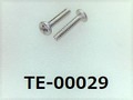 (TE-00029) SUS304  #00特ナベ［1303］＋ M0.6×3 ノジロック付 パシペート