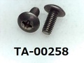 (TA-00258) チタン　　トラス + M2.5x6 脱脂