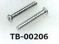 (TB-00206) 鉄 Pタイプ #0-1 ナベ [2505] + 1.7x10 三価白