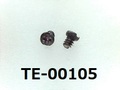 (TE-00105) 純チタン TW340 #00特ナベ [12035] + - M0.8x1 生地