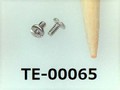 (TE-00065) SUS304 #00特ナベ [1303] +- M0.6x1.3 パシペート