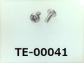(TE-00041)  SUS304  #00特ナベ［1304］＋ M0.6×1.5 パシペート
