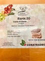 生豆　2022ニカラグア「カップ・オブ・エクセレンス」エル・チェレ　　1kg