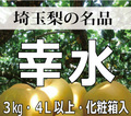 幸水(3kg化粧箱6玉～8玉入り)