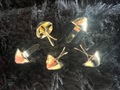 ミニコーン/金鋲　10p