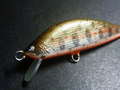 Def48 Goats,Gold Pearl Amago/OB