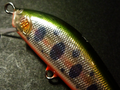 Balsa53S MA,Yamame/OB ②