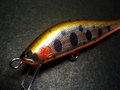 Balsa53S MA,Yamame/OB ①