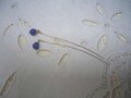 ラピスラズリ・イヤリング（天然石）約4mm　VL4（A)