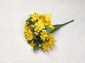 フォーゲットミーノット/ イエロー  FMNYL36
