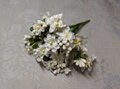 フォーゲットミーノット/ホワイト（ハーフ）FMNWH18