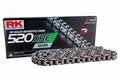 RK SV520XRE 110L SILVER