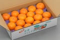 柿：約4.0kg　3L　16玉