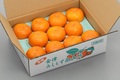 【2箱セット】柿：約2.5kg　3L　10玉