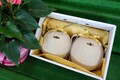 2ヶ入大（1.8kg玉×2）