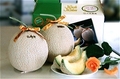 2ヶ入（1.6kg×2）