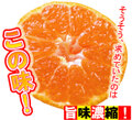 【送料無料】【大浦農園】≪秀優混合≫温州みかん10kg(L)[11月中下旬以降順次発送]