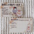 飼い鳥のための緊急連絡先カード(文鳥)
