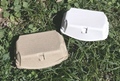 再生紙使用の卵用紙パック＜６個対応：白・無地＞１０枚組 