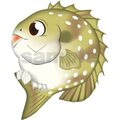 アイゴ　かわいい系　イラスト　キャラクター　Adobe Illustrator AI形式 (CMYK)