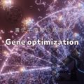 【遺伝子の最適化】Gene optimization【ヒーリング】