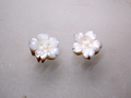 白サンゴ　小さな桜の花のルースペア255