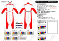 CLA（ライセンスＡ）レーシングスーツ　プロフォーミュラ　デザインスーツ