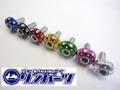 フロントカウル取り付け　飾りボルトセット　Ver3