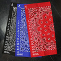 PAISLEY BANDANNA