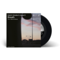 曽我部恵一『Breath』 (ROSE 330X / Analog 7inch)