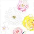 尾崎友直 / 『メネ, メネ, テケル, ウ パルシン』 (ROSE 187/ANALOG ALBUM+CD ALBUM)