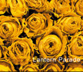 Lantern Parade / 『LANTERN PARADE』 (ROSE 23/CD ALBUM)