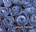 Lantern Parade / 『Lantern Parade』 (ROSE 3/CD ALBUM)