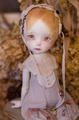 羽根ウィッグ＋accessory set brown
