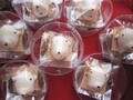 ラムラムとココアクッキーのセット（１０個～）