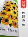 日輪田「ひまわり」きもと純米 720ml