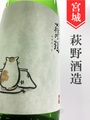 萩の鶴「こたつ猫」純米吟醸別仕込　1.8L