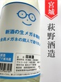 新酒のメガネ専用（生原酒）720ml