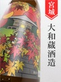 雪の松島 特別純米ひやおろし★秋酒★720ml｜宮城県・大和蔵酒造