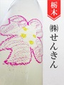 仙禽「さくらOHANAMI」720ml