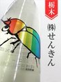 仙禽「かぶとむし」 720ml