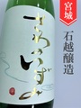 澤乃泉　特別純米中取り無濾過生 1.8L＜酒のかわしま別注品＞