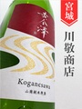 黄金澤「初しぼり」山廃純米生原酒★しぼりたて★1.8L