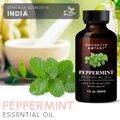 エッセンシャルオイル・ミント30ml（オーガニック）